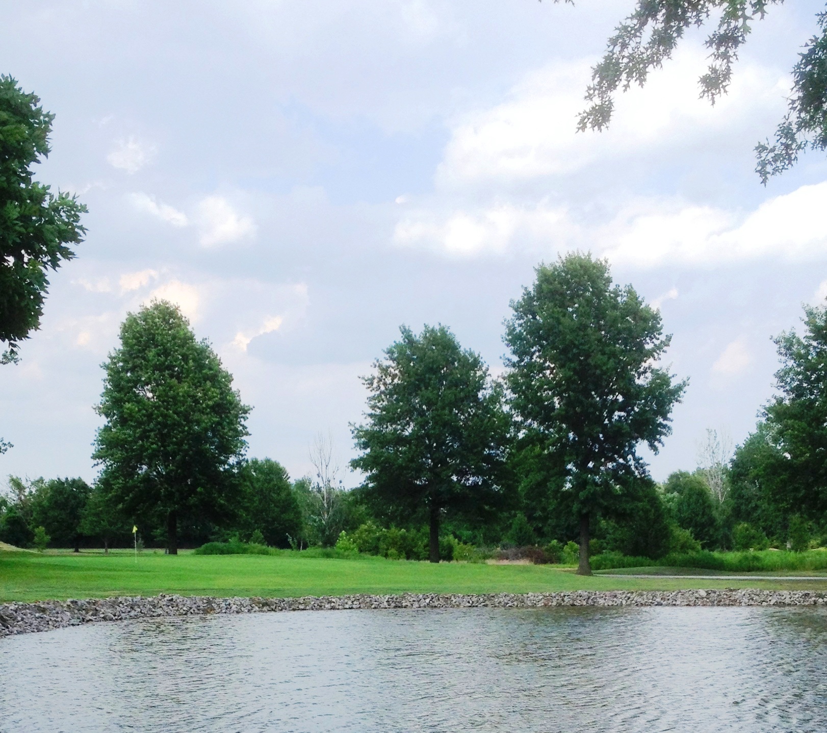 A water trap and group of trees on a green golf course